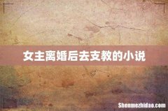 女主离婚后去支教的小说