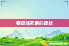 猫瘟临死前的症状