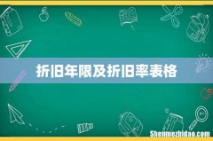 折旧年限及折旧率表格