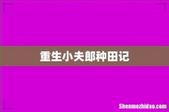 重生小夫郎种田记