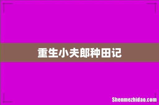 重生小夫郎种田记