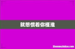 就想惯着你槿淮