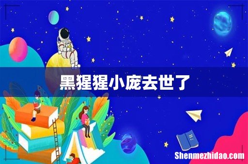 黑猩猩小庞去世了