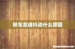 轿车怠速抖动什么原因