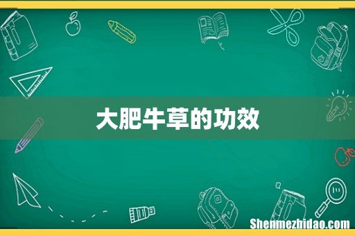 大肥牛草的功效