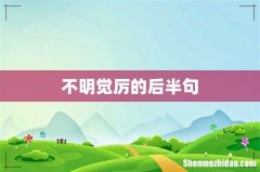 不明觉厉的后半句