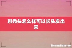 班秃头怎么样可以长头发出来