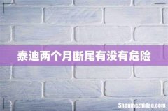 泰迪两个月断尾有没有危险
