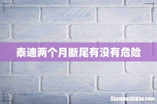 泰迪两个月断尾有没有危险