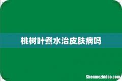桃树叶煮水治皮肤病吗