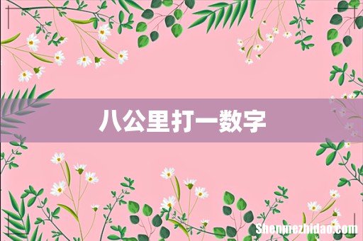 八公里打一数字