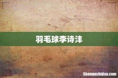 羽毛球李诗沣