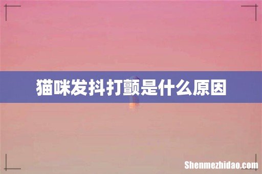 猫咪发抖打颤是什么原因