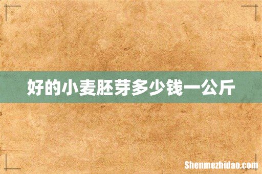 好的小麦胚芽多少钱一公斤