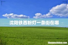 沈阳铁西粉灯一条街在哪