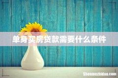 单身买房贷款需要什么条件