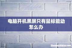 电脑开机黑屏只有鼠标能动怎么办