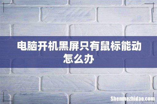 电脑开机黑屏只有鼠标能动怎么办