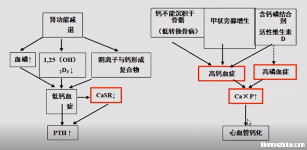 血清磷偏低怎么办 血清磷偏低怎么办吃什么药