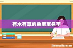有水有草的兔宝宝名字