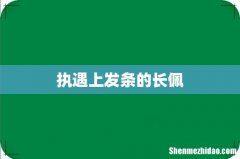 执遇上发条的长佩