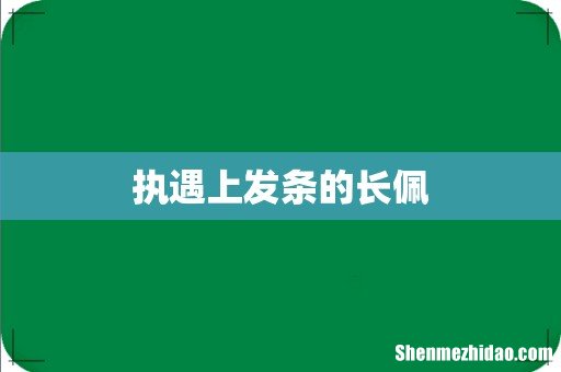 执遇上发条的长佩