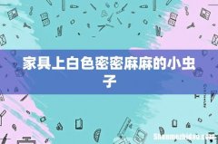 家具上白色密密麻麻的小虫子