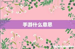 手游什么意思