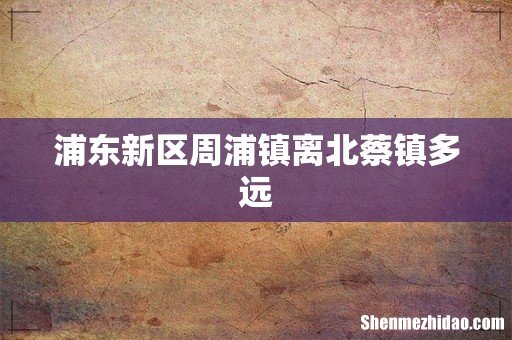 浦东新区周浦镇离北蔡镇多远
