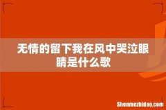 无情的留下我在风中哭泣眼睛是什么歌