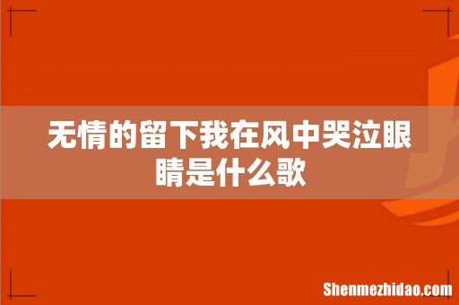 无情的留下我在风中哭泣眼睛是什么歌