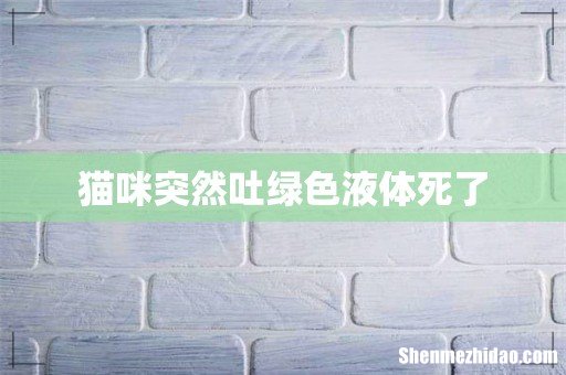 猫咪突然吐绿色液体死了