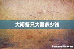 大闸蟹只大概多少钱