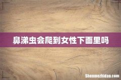 鼻涕虫会爬到女性下面里吗