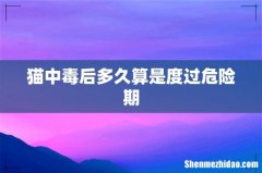 猫中毒后多久算是度过危险期