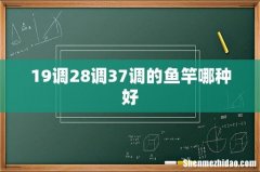 19调28调37调的鱼竿哪种好