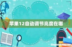 苹果12自动调节亮度在哪