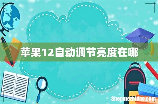 苹果12自动调节亮度在哪