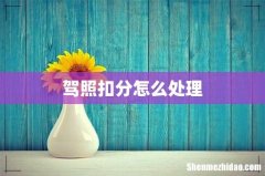 驾照扣分怎么处理