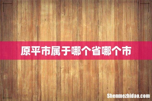 原平市属于哪个省哪个市