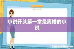 小说开头第一章是离婚的小说