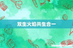 双生火焰共生合一
