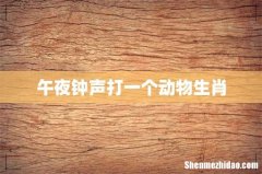 午夜钟声打一个动物生肖