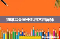猫咪耳朵里长毛用不用剪掉