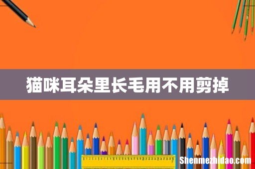 猫咪耳朵里长毛用不用剪掉