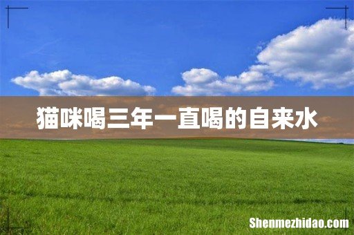 猫咪喝三年一直喝的自来水