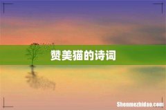 赞美猫的诗词