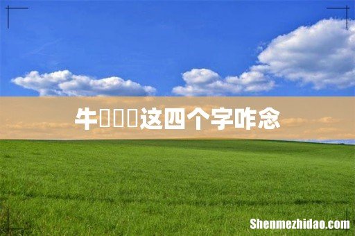 牛牪犇茻这四个字咋念