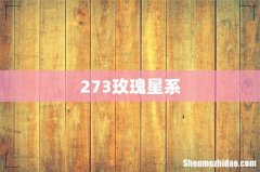 273玫瑰星系