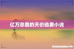 亿万总裁的天价逃妻小说